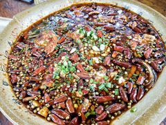 沸腾鱼-青城甲(青城山店)