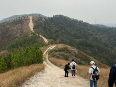 -龟山风景区-龟山电视塔