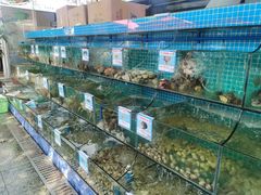 水产区-范饭椰林川湘味海鲜·椰子鸡(三亚湾椰梦长廊店)