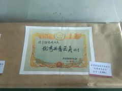 -盐城丹顶鹤湿地生态旅游区