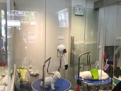 -PETKIT 小佩宠物·低压洗护·美容·寄养(安远店)