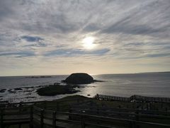 -企鹅岛