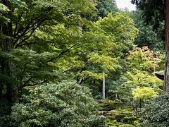 -三千院