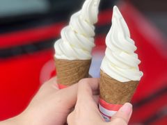 -富豪雪糕车流动点(尖沙咀店)