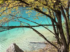 -乡土特色.冷锅鱼.牦牛肉汤锅