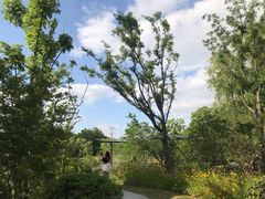 -昆山城市生态森林公园