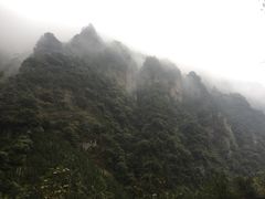 -美极鲜食坊(宝安南路店)