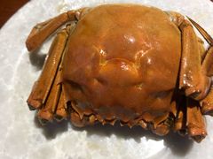 -金雨烧烤(新城南都店)