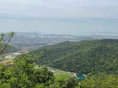 -惠山国家森林公园