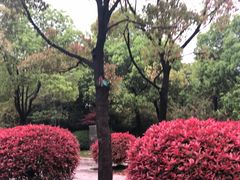 -金匮公园-南入口停车场