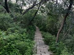 -元大都城垣遗址公园