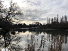 -井之头恩赐公园