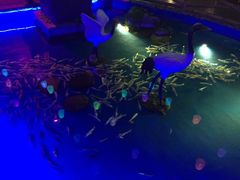 -顺德南宏海立方海洋公园