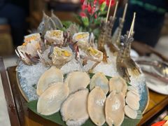 -禄婶鸡煲·打边炉