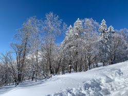 -大秃顶子山