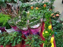 -秦美花卉(天朗·莱茵小城2期店)