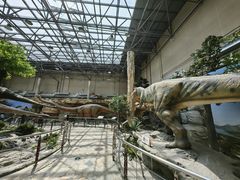 -国家自然博物馆