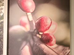 -星巴克臻选(周浦万达店)