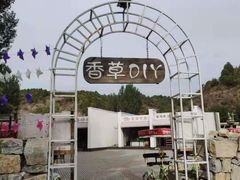 -紫海香堤香草艺术庄园