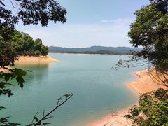 -广州市流溪河国家森林公园