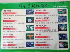 -天宜隆蘑菇宴火锅(石景山旗舰店)