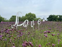 -梁鸿国家湿地公园