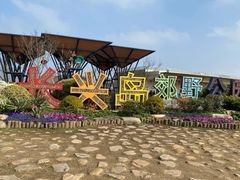 -上海长兴岛郊野公园