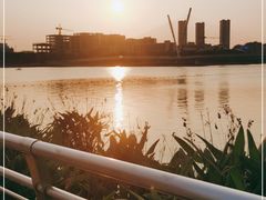 -映月湖中央公园