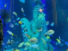 -沈阳海洋探索中心