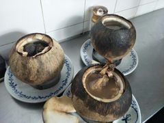 -達揚原味燉品(文明路店)