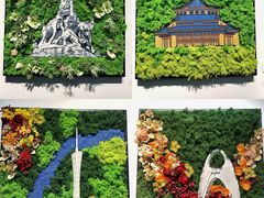 -云溪植物园