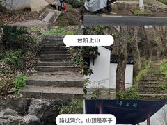 -杭州植物园