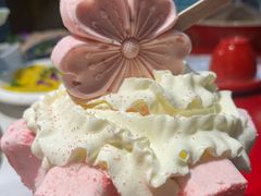 -欠火锅·水牛毛肚·团建聚餐·生日宴(何山路店)