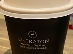 -西安赛瑞喜来登大酒店
