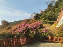 -广州市石门国家森林公园