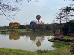 -中国科学院西双版纳热带植物园