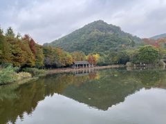 -八卦田遗址公园