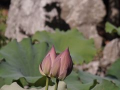 -丝绸小镇荻港古村