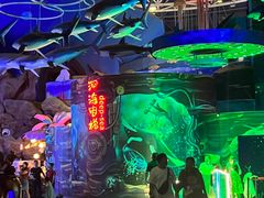 -烟台海昌鲸鲨海洋公园