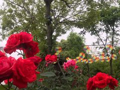 -呼吸森林·生态农庄农家乐私房菜