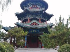 -迎泽公园