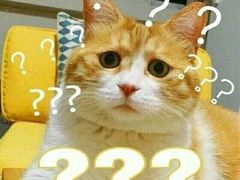-大连理工大学中心-食堂