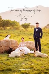 -GO VISION 动视觉婚纱摄影高级定制