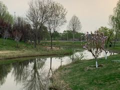 -安德鲁户外烧烤帐篷营地(马泉营店)