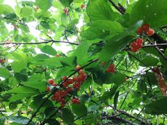 -丽江花间堂·隐泉院