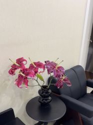 -北京炫美医疗美容