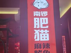 -南锣肥猫·麻辣烤鱼·16年现烤现卖(财富购物中心店)