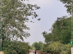 -北京麋鹿生态实验中心