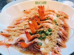 -新白鹿餐厅(虹桥南丰城店)