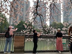 -红星桥(地铁站)